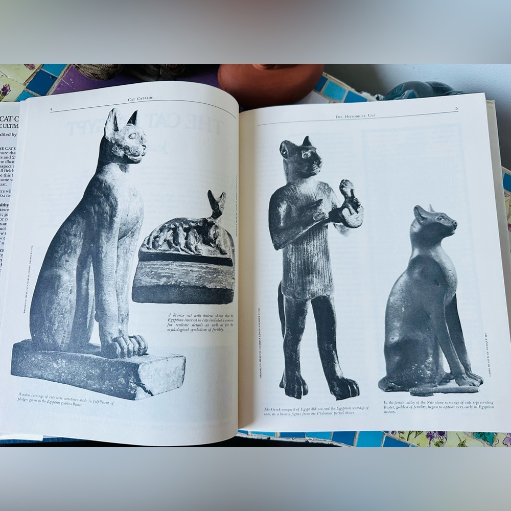 Cat Lovers Lot ~ Art Book with Decorative Items Candle Holder Sign Soap Dish - Picture 7 of 16